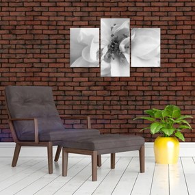 Tablou - Floare,alb-negru (90x60 cm)