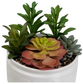 Plante artificiale 2 buc. (înălțime 19 cm) Cactus – Casa Selección
