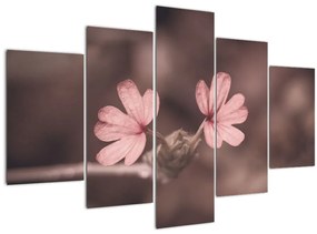 Tablou cu floare roz (150x105 cm)