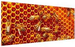 Tablou - Fagure de miere (120x50 cm)