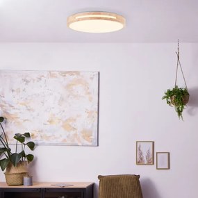 Plafonieră LED dimabilă Brilliant WOODBURY LED/24W/230V d. 39 cm