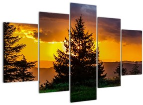 Tablou - coniferi (150x105 cm)