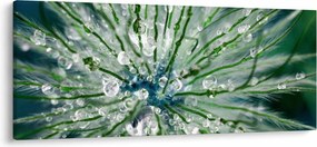 Tablou - Imagine macro a unei flori (120x50 cm)