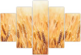 Tablou - câmp cu grâne (150x105 cm)