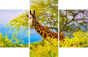 Tablou - Girafa în Africa (90x60 cm)