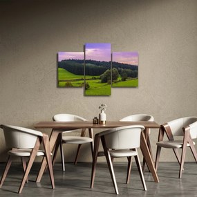 Tablou cu lunca (90x60 cm)
