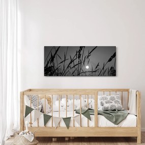 Tablou - Pajiște cu apus de soare (120x50 cm)