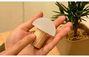 Veioză în culoare naturală LED cu intensitate reglabilă din lemn de frasin (înălțime 7 cm) Alice – Gingko