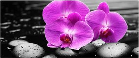 Tablou - Orhidee violet (120x50 cm)