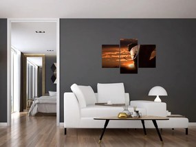Tablou cu elefant (90x60 cm)