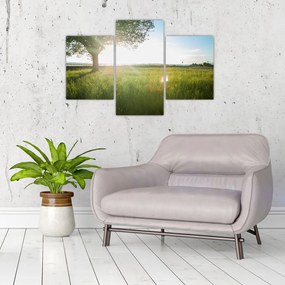 Tablou cu lunca în vară (90x60 cm)
