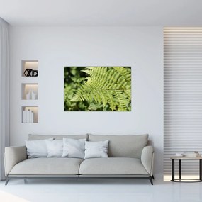 Tablou - Frunză de ferigă (90x60 cm)