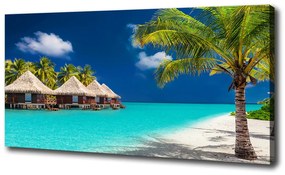 Tablou pe pânză canvas Bungalow-uri maldive