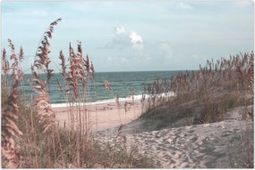 Tablou - Plaja roz (90x60 cm)