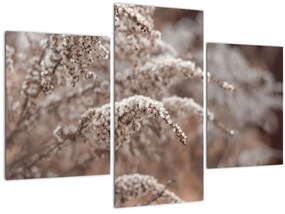 Tablou cu plante (90x60 cm)