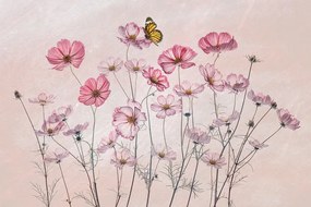 Fotografie Cosmos and Butterfly, Lydia Jacobs