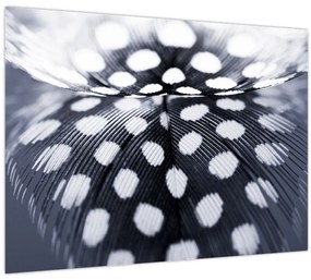 Tablou - Pană (70x50 cm)