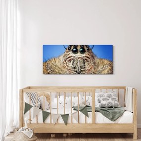 Tablou cu detalii a unui pâianjen (120x50 cm)