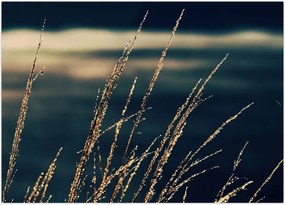 Tablou cu ierburi (70x50 cm)