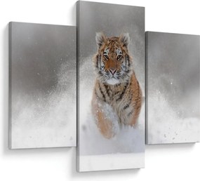 Tablou cutigru fugind prin zăpadă (90x60 cm)