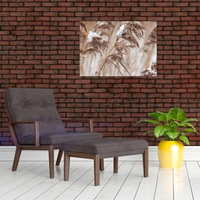 Tablou - Tei (70x50 cm)