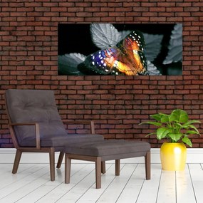 Tablou cu fluture (120x50 cm)