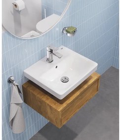 GROHE 41193000 - Suport pentru săpun ESSENTIALS, crom lucios