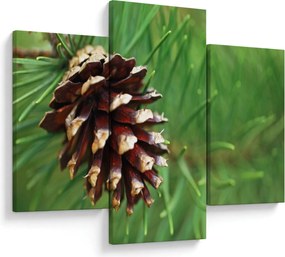 Tablou cu con (90x60 cm)
