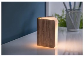 Decorațiune luminoasă maro cu USB Booklight – Gingko
