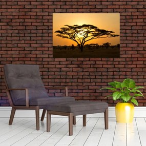 Tablou - Savana africană (90x60 cm)