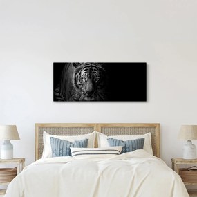 Tablou - Tigru sălbatic (120x50 cm)