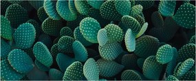 Tablou - Opuntia (120x50 cm)