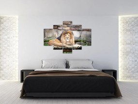 Tablou cu leu (150x105 cm)