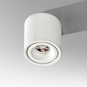 Spot LED aplicat directionabil de tavan/plafon COSTA 4000K alb