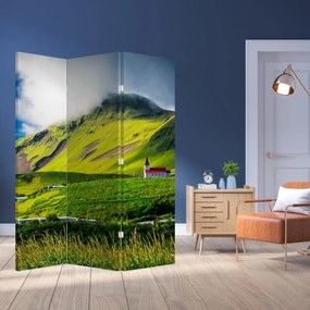 Paravan - Peisaj montan (126x170 cm)