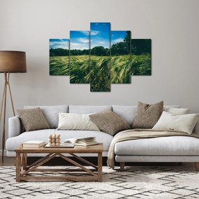 Tablou cu linca și pădure (150x105 cm)