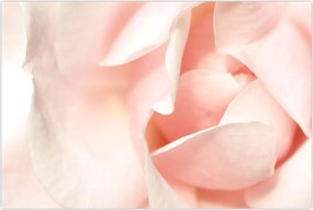 Tablou - Trandafiri (90x60 cm)