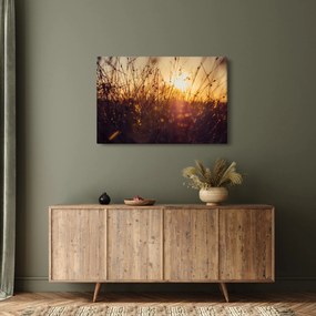 Tablou - Câmp la apus de soare (90x60 cm)
