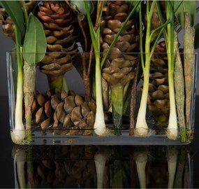 Aranjament floral design LUX ETERNITY RECTANGULAR VASE CORINTO 1142256.95