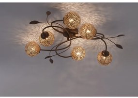 Paul Neuhaus 6398-48 - Lustră aplicată GRETA 6xG9/40W/230V