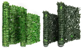 Fency Bright Leaf, verde deschis, fag, gard - protecție împotriva vântului 300 x 100 cm