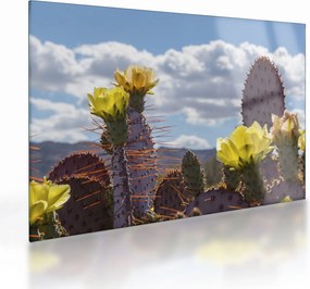 Tablou pe sticlă cu floarea de cactus Opunție (70x50 cm)