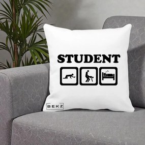 Perna Decorativa Student Life, 40x40 cm, Alba Mata, Husa Detasabila, Perna Inclusa, BEKZ®