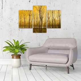 Tablou cu pădure în apus de soare (90x60 cm)
