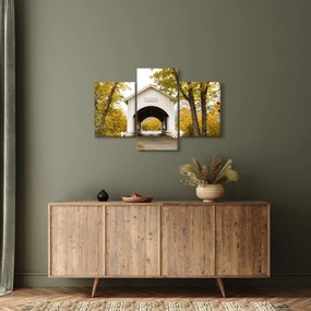 Tablou cu podul în Oregon (90x60 cm)