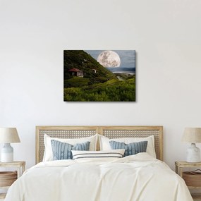 Tablou - peisaj cu luna (70x50 cm)