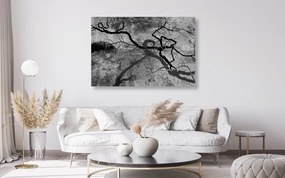 Tablou copaci suprarealistici în design alb-negru