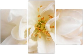 Tablou - Floare (90x60 cm)