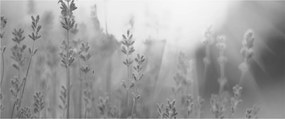 Tablou - Lavanda (120x50 cm)