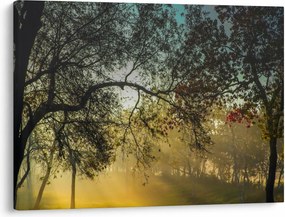 Tablou cu răsărit de soare (70x50 cm)